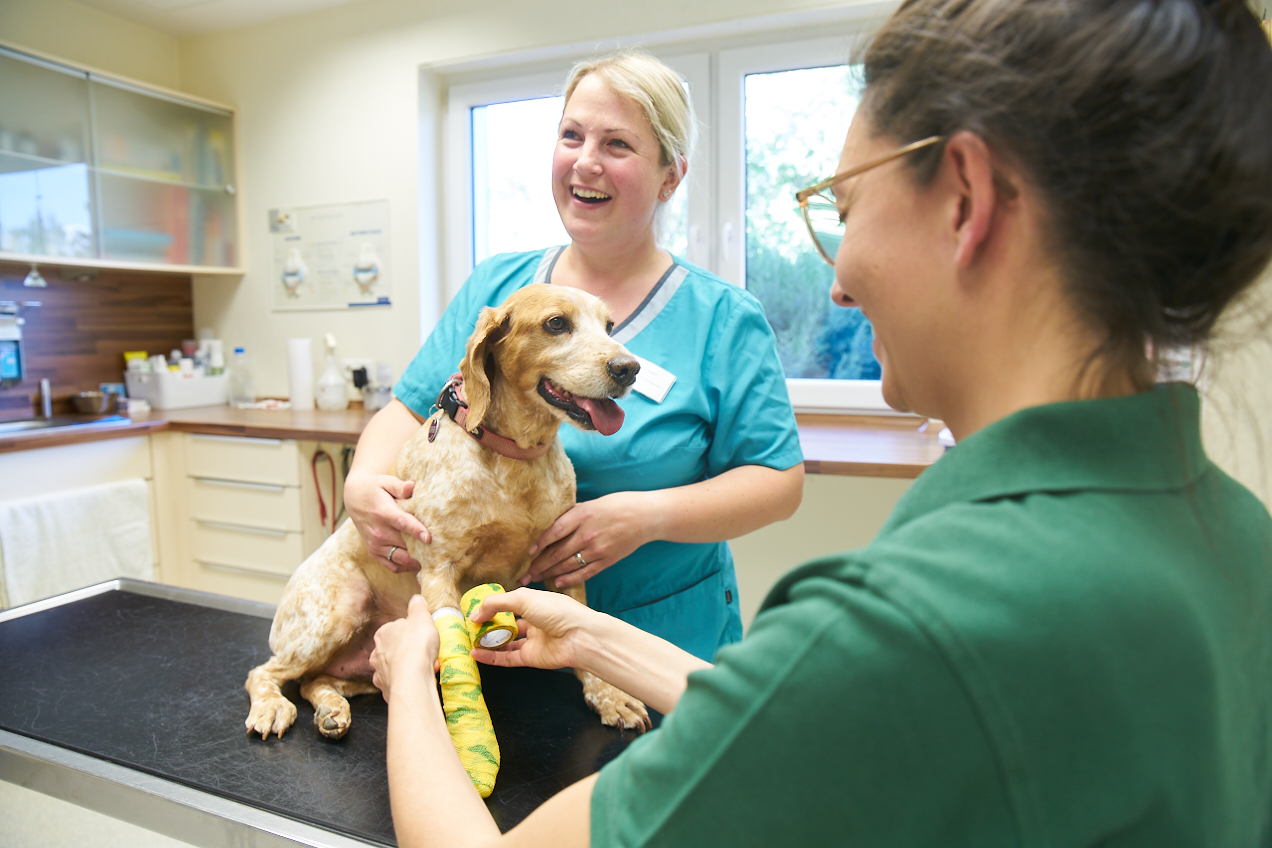 VetPartners_110522_0371.ARW.p