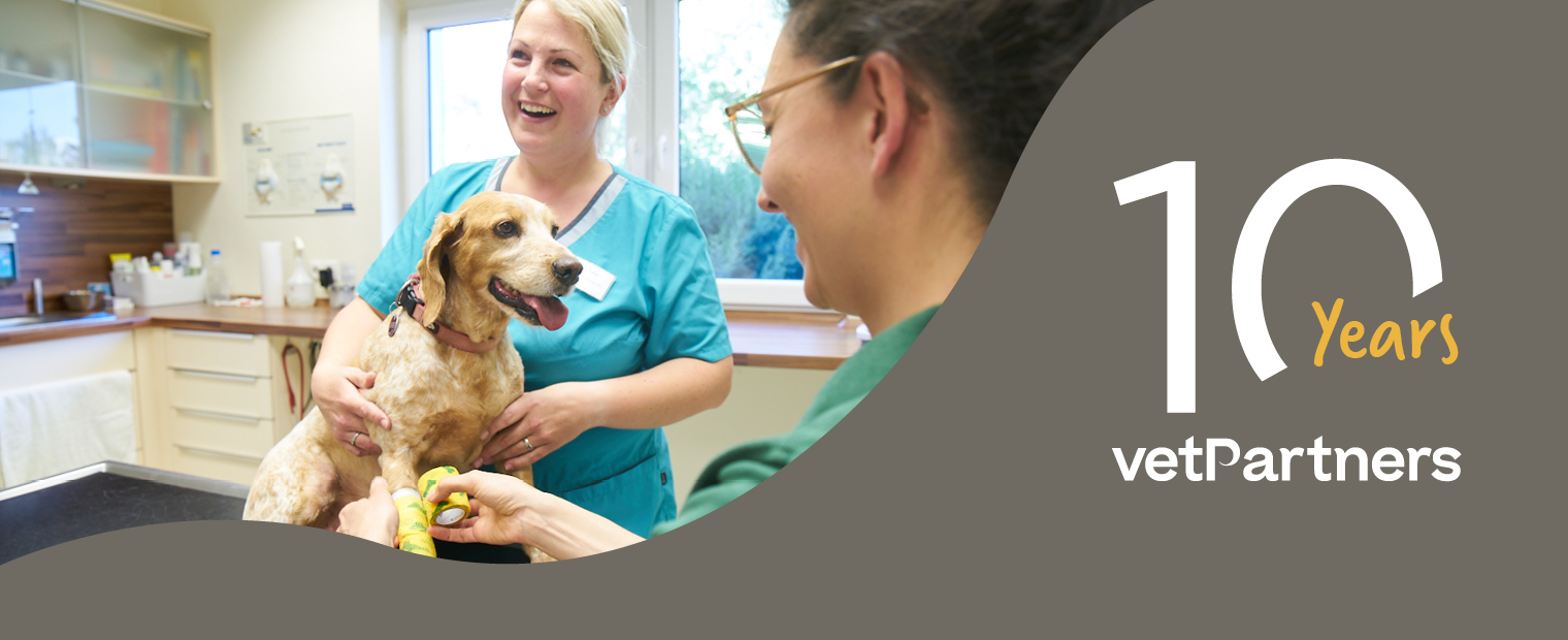 5137 - Group Website - 10th Anniversary - Web Banner